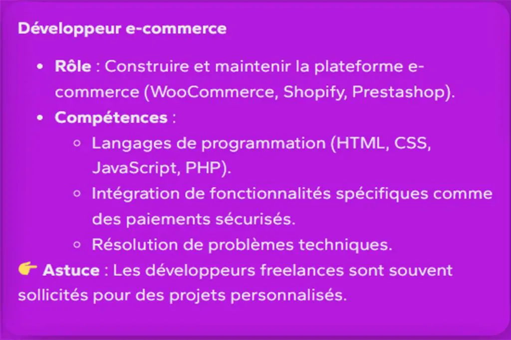 2.-developeur