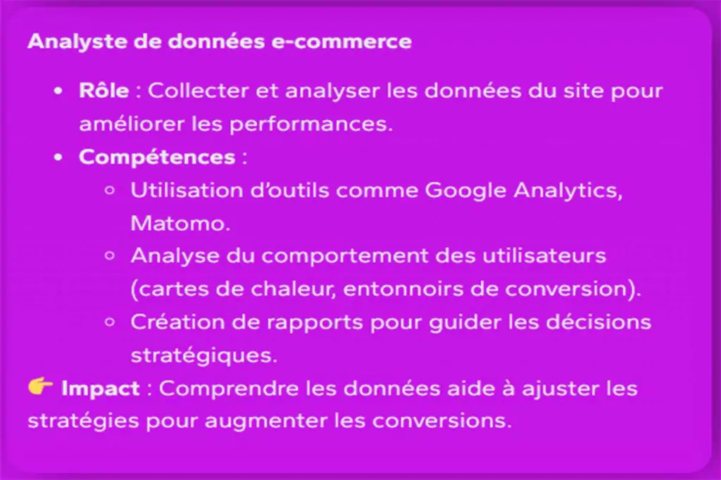 9.-Analyste-des-donnes
