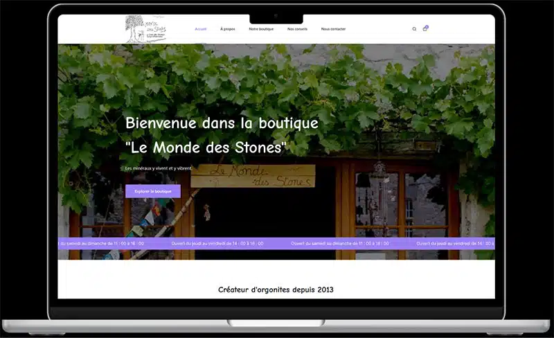 interface desktop de la boutique le monde des stones