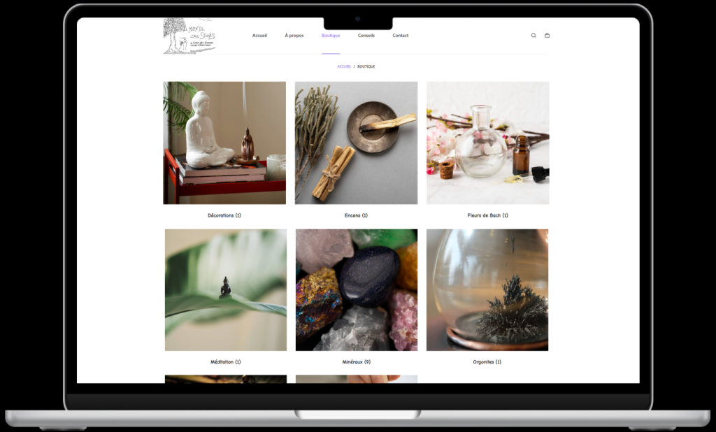 mockup desktop de la page boutique le monde des stones