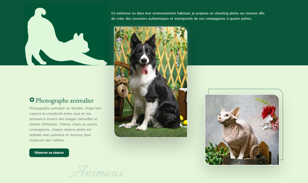 Section portrait animalier virgin-arts.fr